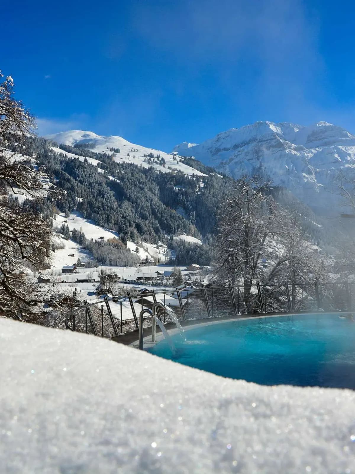 Lenkerhof Gourmet Spa Resort, photo 5