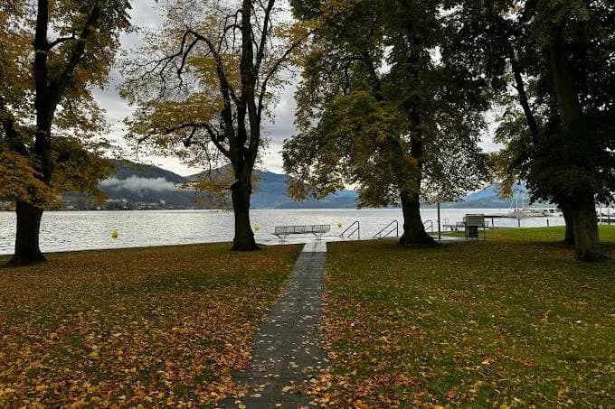 LÖYLY Sauna Zug – Seebad Siehbach, photo 6