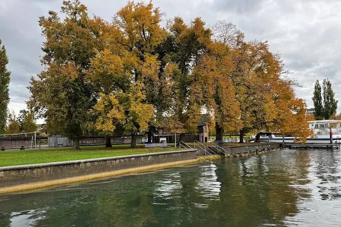 LÖYLY Sauna Zug – Seebad Siehbach, photo 7