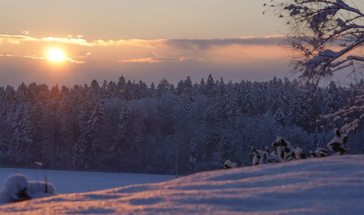 Natur Sauna Meikirch bei Bern, photo 4